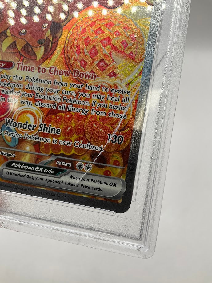Dachsbun ex Pokemon Stellar Crown Special Illustration Rare #169 PSA 10