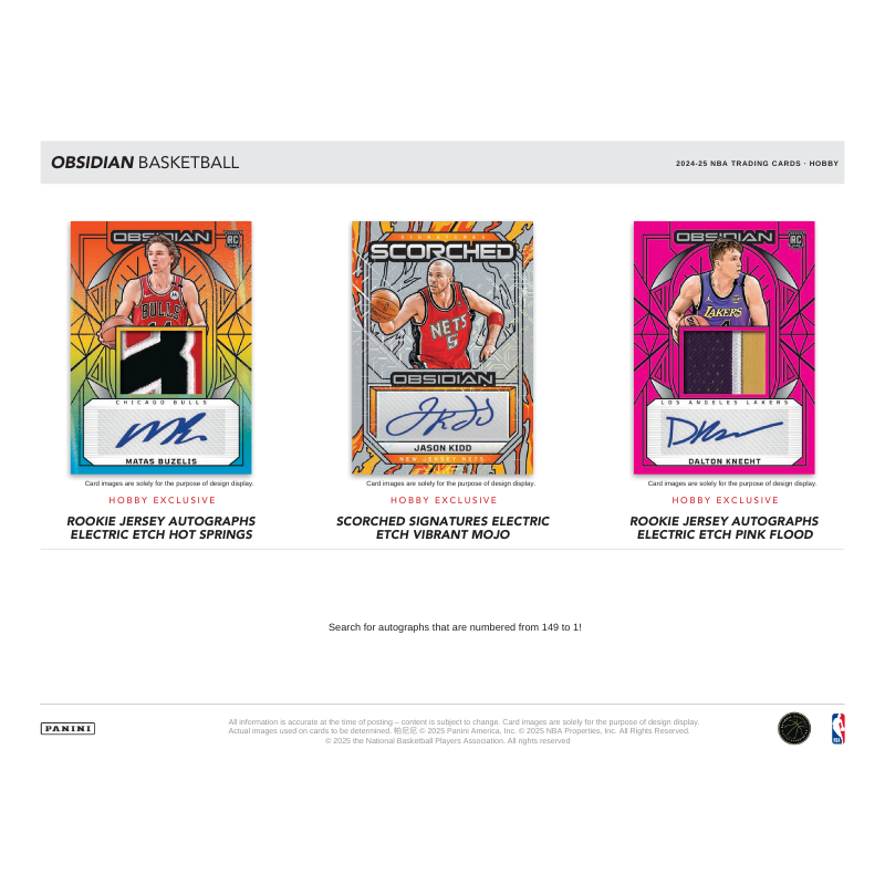 2024/25 Panini Obsidian Basketball Hobby 12 Box Case